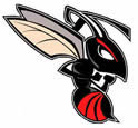 Heyworth Hornets